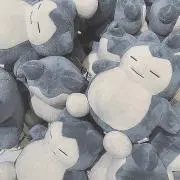 Cherry_プロフ必読