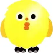Yamama♡