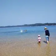 すいすいの画像