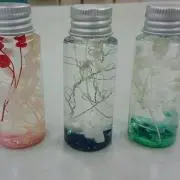 Rinの画像