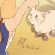 ︎✿