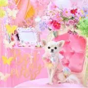 ましろ【プロフ必読】の画像