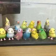 tom☺︎の画像