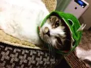 しおのママ