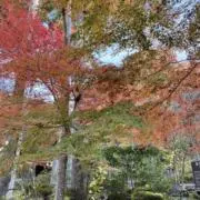 とまとまま(プロフィール必読)の画像