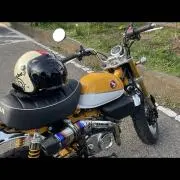 Monkey Racingの画像