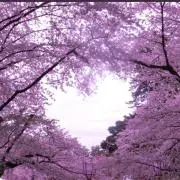 ☆お茶会☆の画像
