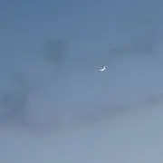 りんごの画像