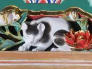 hgの画像