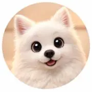 Komugiの画像
