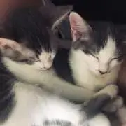 ナミ