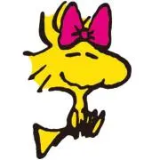 りぼん