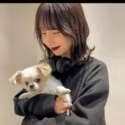 ぽん
