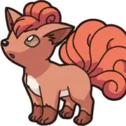 ろこん✴︎゜