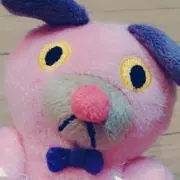 佐藤の画像