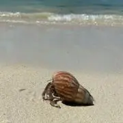 ニコニコ
