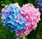 Chiii..xxx @プロフ必読