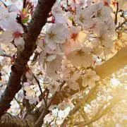 ゆう ※プロフィール要確認