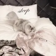 ♡
