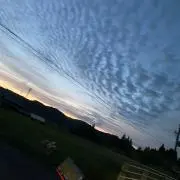 スガワラさん