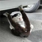ma