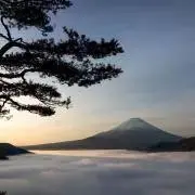 plsの画像
