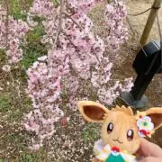 ricoの画像