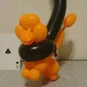 raraの画像