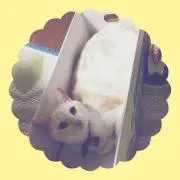 プロフ必読み✴︎SORAの画像