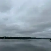 mickyの画像