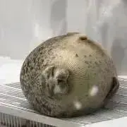 ミーの画像