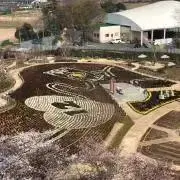 ノアパパ