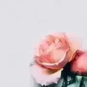 キュー☆の画像
