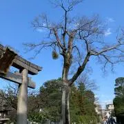 みー