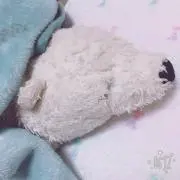 きお＊プロフ必読