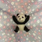 パンダコパンダの画像