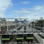 いたちの画像