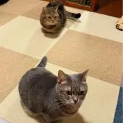 優佳