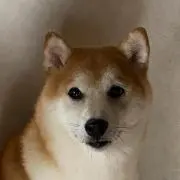 ☘️タマ文雄☘️の画像