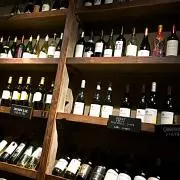 pinoの画像