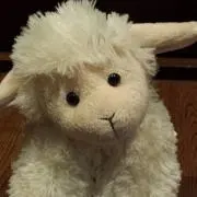 Image of みのしの