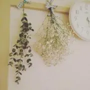 はな