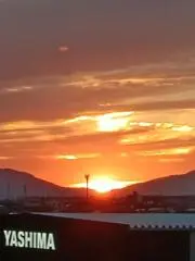 どんぐりの画像