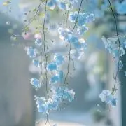 さと