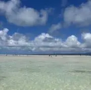 レイの画像