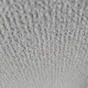 ....の画像