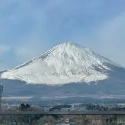 y-yの画像