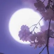 トトロ（宅配BOXあり）