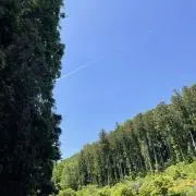 はの画像