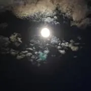 ポトフ